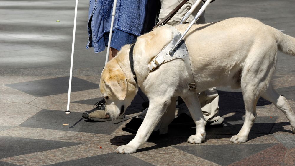 Taxikář v Praze vytáhl z auta nevidomou ženu a hodil ji na zem